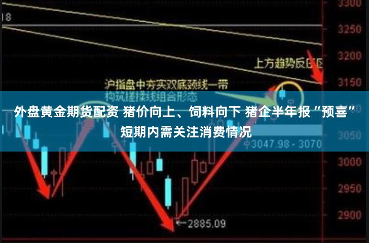 外盘黄金期货配资 猪价向上、饲料向下 猪企半年报“预喜” 短期内需关注消费情况