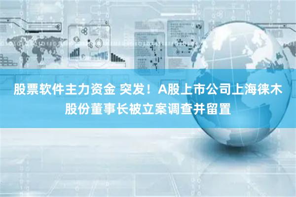 股票软件主力资金 突发！A股上市公司上海徕木股份董事长被立案调查并留置