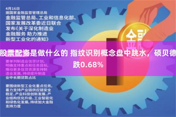 股票配资是做什么的 指纹识别概念盘中跳水，硕贝德跌0.68%