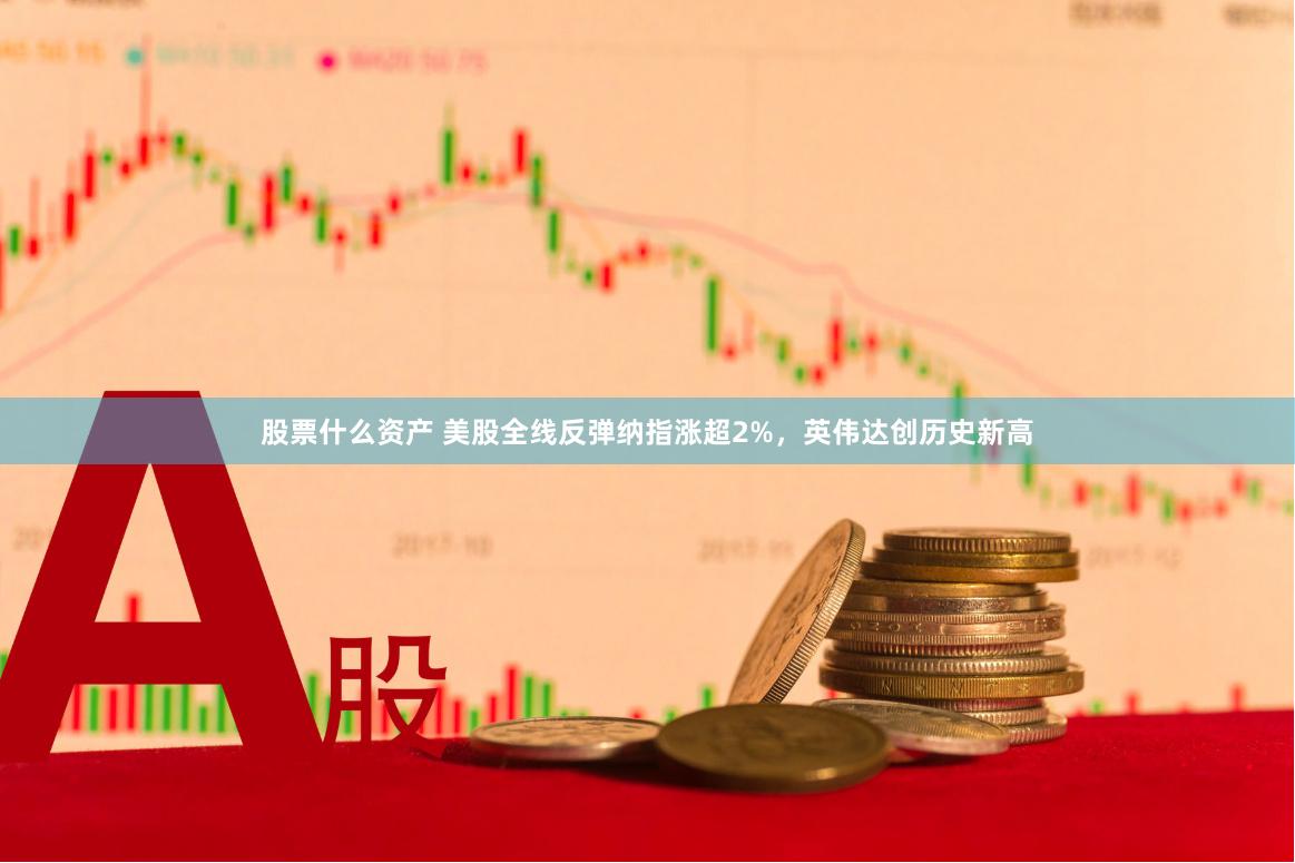 股票什么资产 美股全线反弹纳指涨超2%，英伟达创历史新高